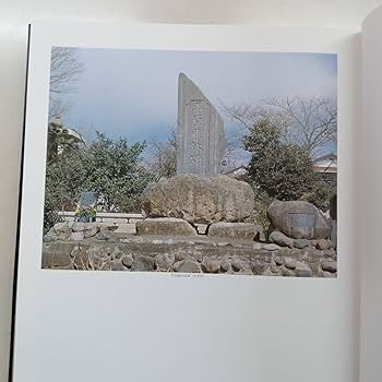 書道定本　大澤雅休・大澤竹胎の書 書道定本 大澤雅休・大澤竹胎の書 大澤雅休・竹胎の